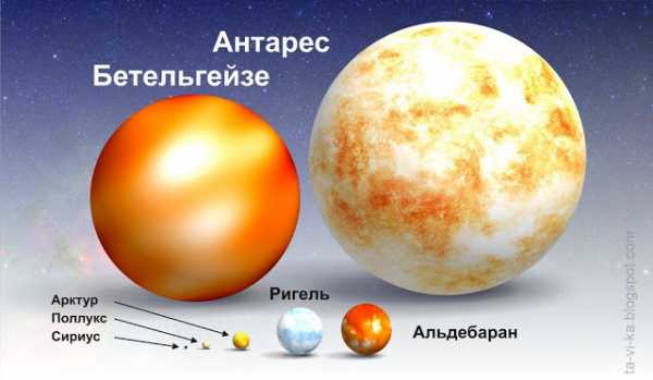 Модели Звезд Фото